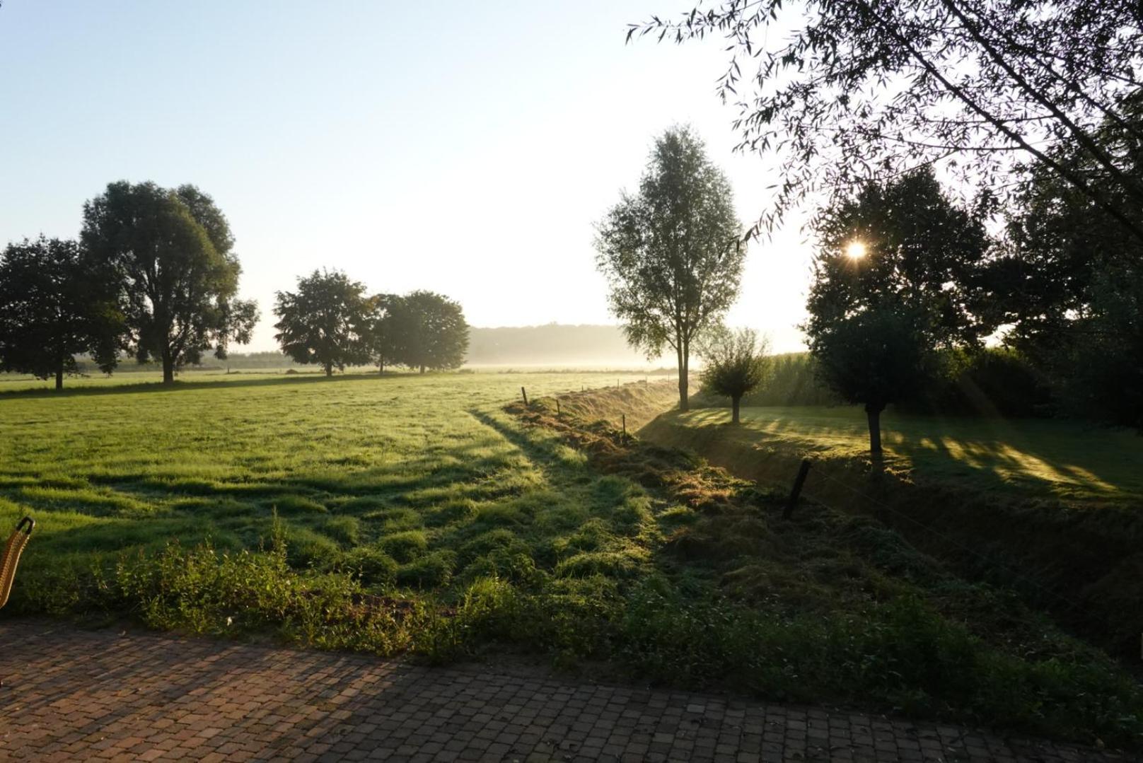 Villa De Knotwilg Loon op Zand Exterior foto
